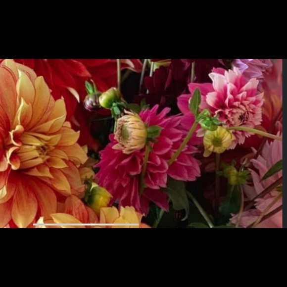 Meet your Posher, Mb - Picture 1 of 1